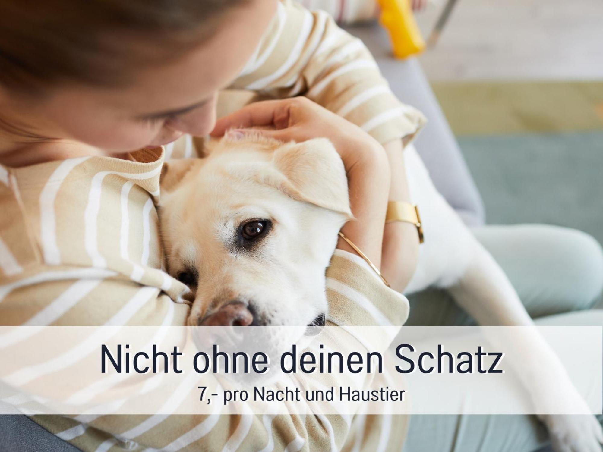 Steinberg  Ferienhaus Toepferhaus - Strandnah, Haustierfreundlich, Optimal Fuer Workation, Kaminofen, Garten, Fuer Paare Und Alleinreisende מראה חיצוני תמונה