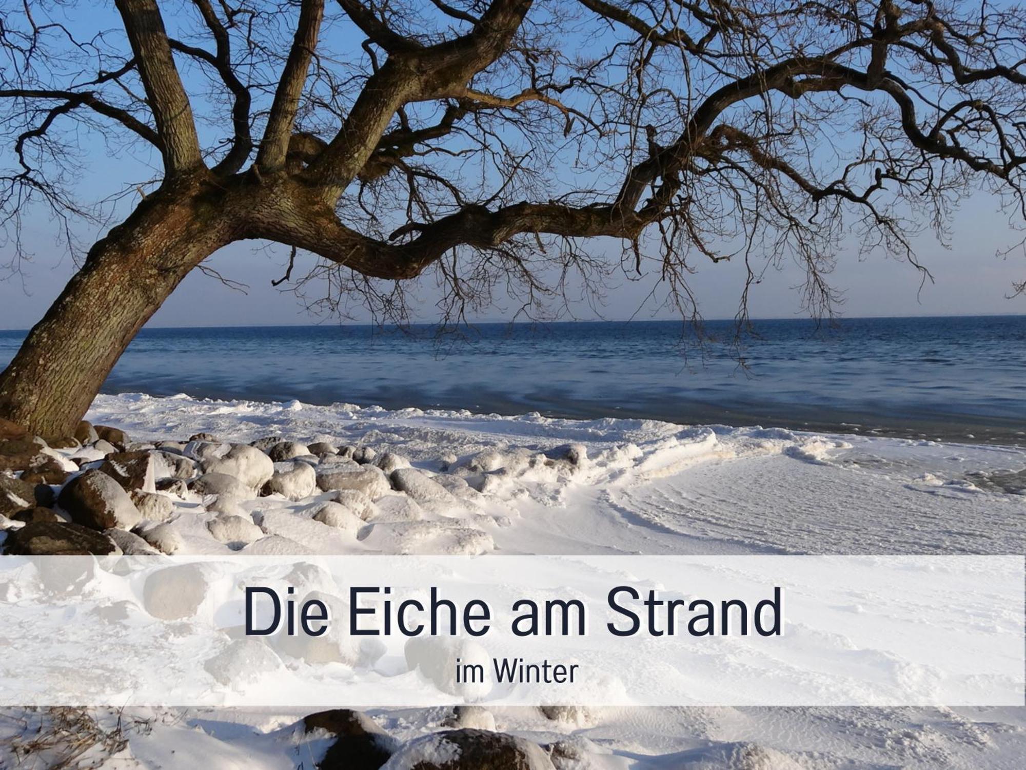 Steinberg  Ferienhaus Toepferhaus - Strandnah, Haustierfreundlich, Optimal Fuer Workation, Kaminofen, Garten, Fuer Paare Und Alleinreisende מראה חיצוני תמונה